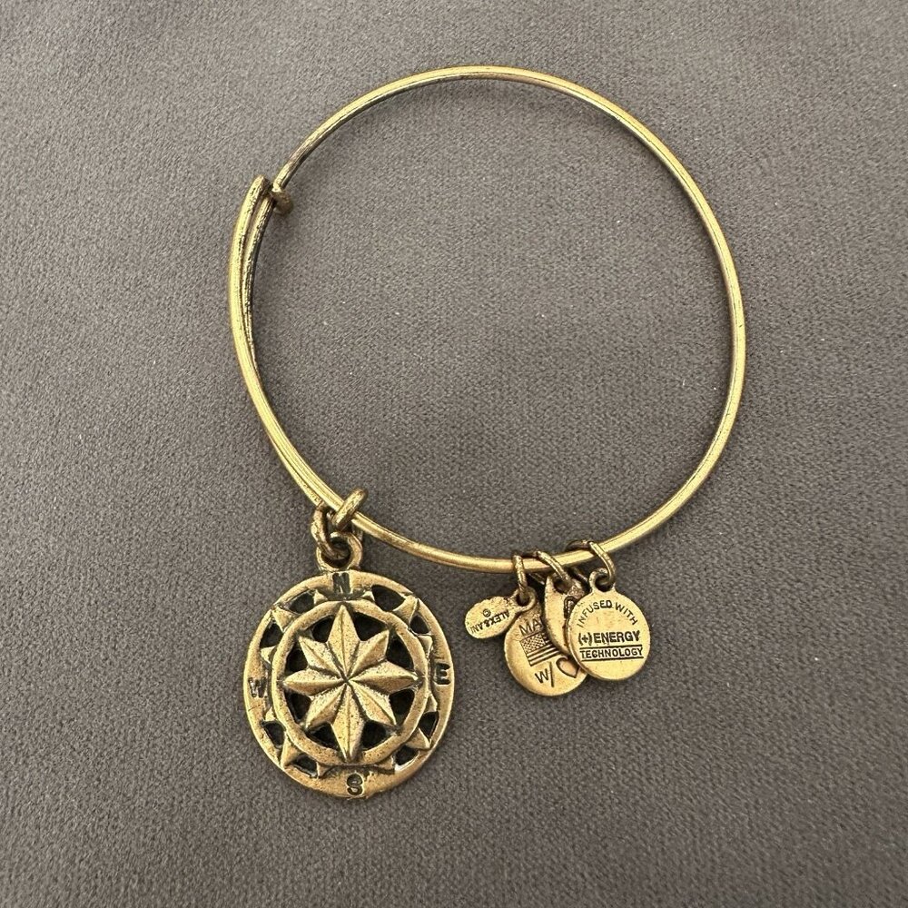 Alex And Ani Bracelet Gold Tone Compass Direction 2014 Made USA Bangle Energy